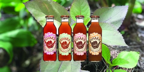 Four bottles of Shaka beverages in front of green leaves, featuring flavors: Honey Lemon, Pineapple Mint, Ginger, and Hibiscus.