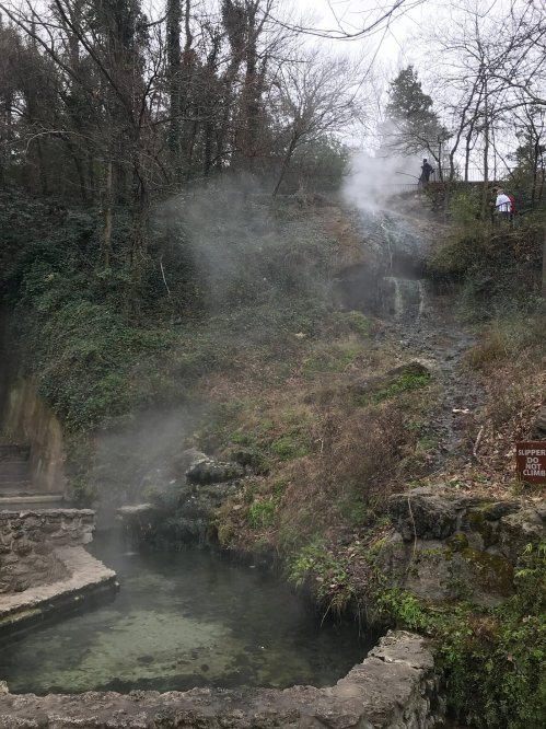 A misty landscape featuring a natural hot spring, surrounded by greenery and a small waterfall in the background.