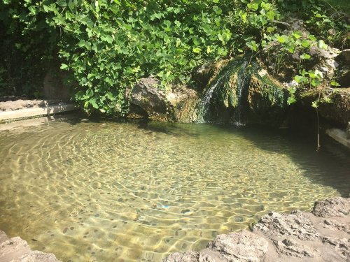 A serene natural pool surrounded by lush greenery and a small waterfall, with clear water reflecting sunlight.