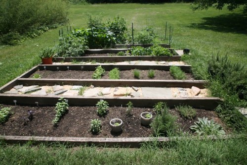 A garden with raised beds featuring various herbs and vegetables, surrounded by green grass and trees in the background.