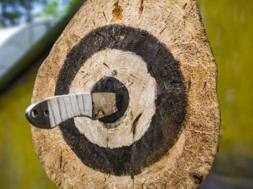 A close-up of a wooden target with a knife embedded in the center, showcasing the circular grain pattern.