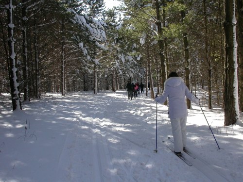 A person skiing on a snowy trail surrounded by trees, with a group walking in the background.