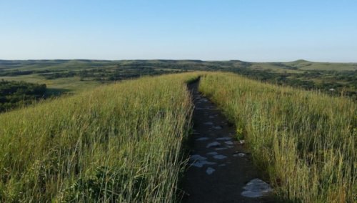 A grassy path winds through tall grass on a hilltop, with rolling green hills stretching into the distance under a clear blue sky.
