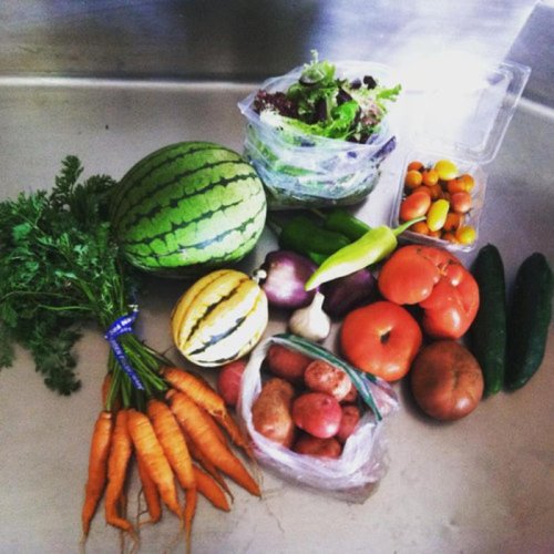 A variety of fresh vegetables and fruits, including carrots, tomatoes, cucumbers, watermelon, and leafy greens.