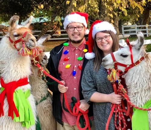 A couple in Santa hats poses with two decorated llamas, surrounded by festive lights and greenery.