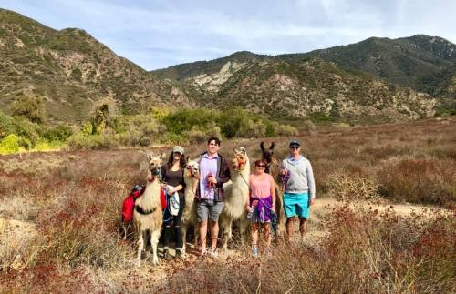 A group of five people stands with llamas in a scenic mountainous landscape, surrounded by dry grass and shrubs.