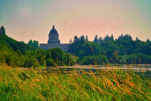 A scenic view of a dome building surrounded by trees and tall grass, reflecting in a calm body of water.