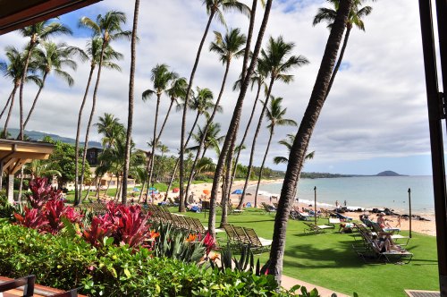 Tropical beach scene with palm trees, lounge chairs, and people enjoying the sun by the ocean under a partly cloudy sky.