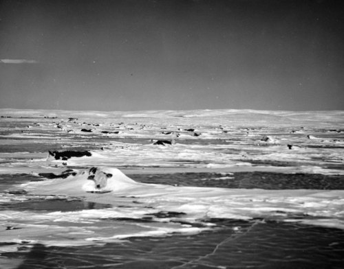 A vast, icy landscape with snow-covered terrain and patches of open water under a clear sky.