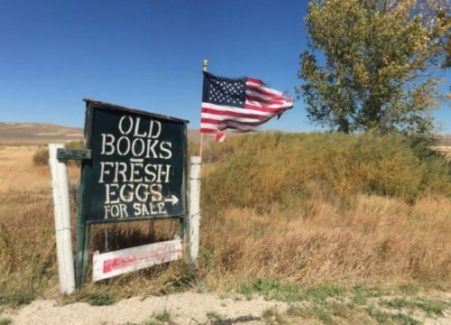 A sign reading "Old Books, Fresh Eggs for Sale" next to an American flag, set against a grassy landscape.