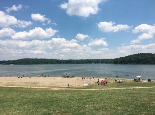 A sandy beach by a lake with people sunbathing and swimming, surrounded by green hills and a blue sky with clouds.