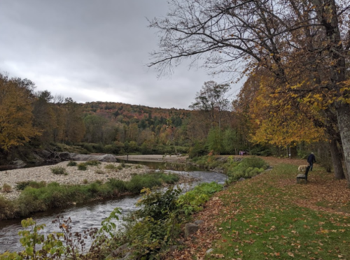 A serene river flows through a landscape of autumn trees, with a person walking their dog along the grassy bank.