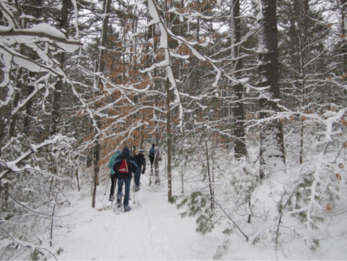 A group of people hiking through a snowy forest, surrounded by trees covered in snow.
