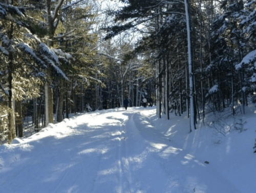 A snowy path through a forest, with trees lining the sides and a few people in the distance.