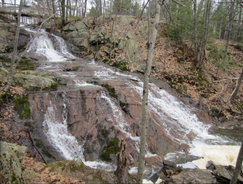A cascading waterfall flows over rocky terrain, surrounded by trees and fallen leaves in a serene forest setting.