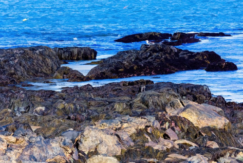Rocky shoreline with dark rocks and blue ocean waves under a clear sky.