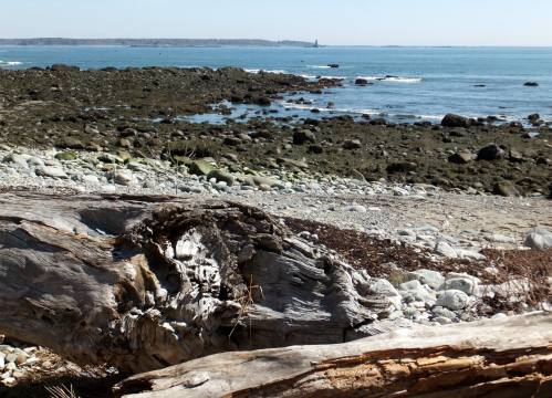 A rocky shoreline with driftwood, gentle waves, and a distant lighthouse under a clear blue sky.