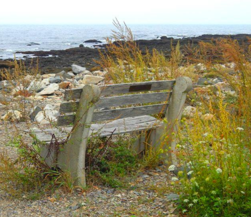 A weathered wooden bench surrounded by wildflowers and rocky shoreline, overlooking a calm sea.