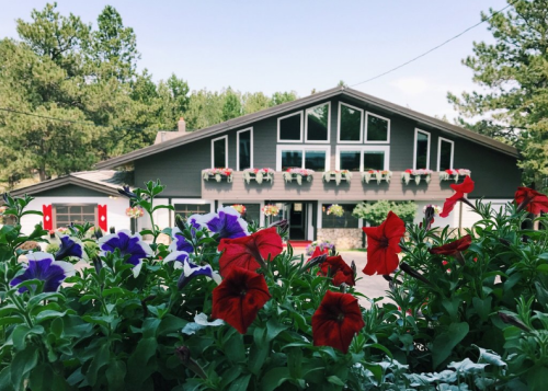 A modern house with large windows, surrounded by colorful flower beds in red, purple, and green.