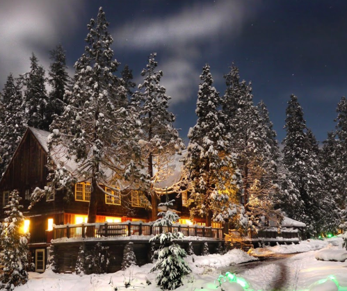 A cozy cabin surrounded by snow-covered trees, illuminated by warm lights under a starry night sky.