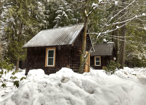 Two rustic cabins surrounded by snow and tall evergreen trees in a winter landscape.