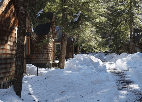 A snowy path lined with wooden cabins and tall evergreen trees in a winter landscape.