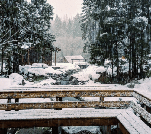 A snowy landscape with a wooden bridge, surrounded by trees and a small stream, creating a serene winter scene.