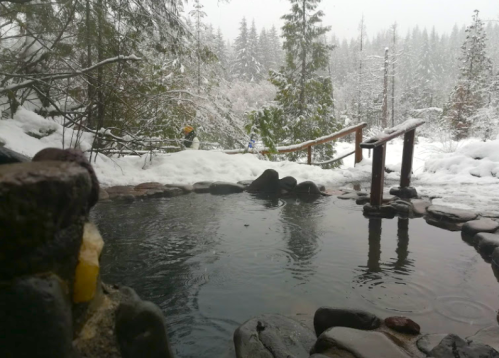A serene hot spring surrounded by snow-covered trees and a wooden bridge in a winter landscape.