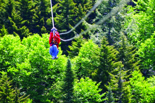 A person in a red shirt zip-lining over lush green trees in a forested area.