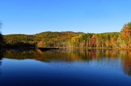 A serene lake reflecting colorful autumn trees and a clear blue sky, surrounded by mountains in the background.
