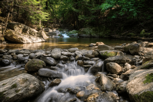 A serene forest scene featuring a flowing stream over smooth rocks, surrounded by lush greenery.