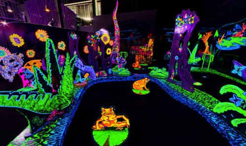 A vibrant, neon-lit miniature landscape featuring colorful frogs, plants, and flowers in a dark setting.