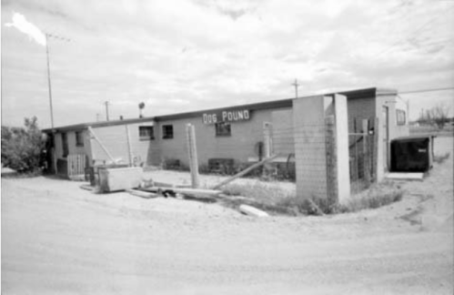 Black and white image of a building labeled "Dog Pound," with a fenced area and debris in the foreground.