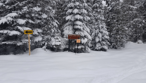 Snow-covered landscape with evergreen trees and a sign for "Teddy Lake Yurt," indicating a left turn.
