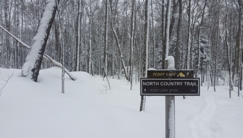 Signpost for North Country Trail and Teddy Lake Spur in a snowy forest landscape. Trees are covered in snow.