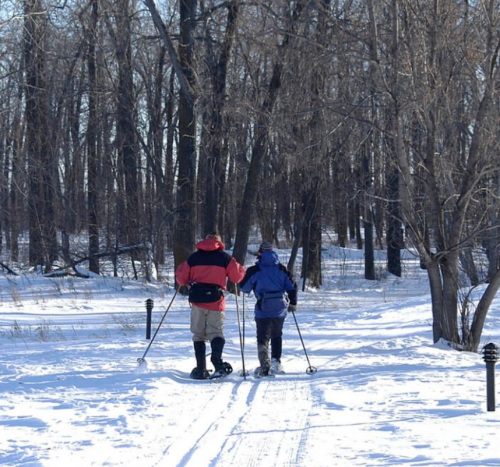 Two people snowshoeing on a snowy path through a forest of bare trees.