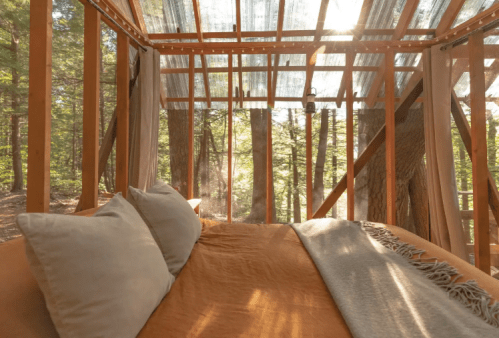 Cozy bed with pillows in a treehouse, surrounded by trees and sunlight filtering through the canopy.