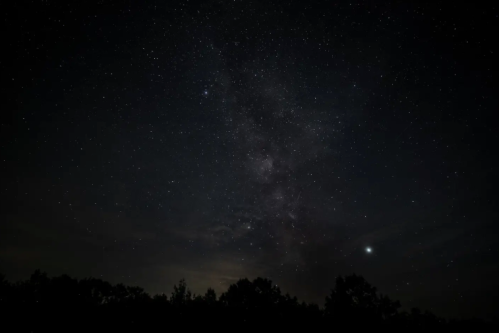 A starry night sky with the Milky Way visible, framed by silhouettes of trees at the bottom.