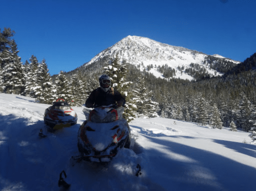 A person on a snowmobile in a snowy landscape with mountains and trees in the background under a clear blue sky.
