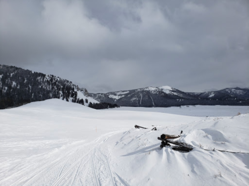 A snowy landscape with rolling hills and distant mountains under a cloudy sky. Logs are scattered in the foreground.