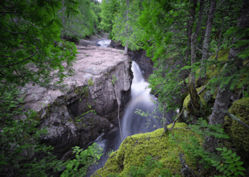 A serene forest scene featuring a waterfall cascading over rocky cliffs, surrounded by lush greenery and trees.