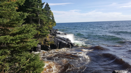 Waves crash against rocky shoreline, surrounded by lush green trees under a clear blue sky.
