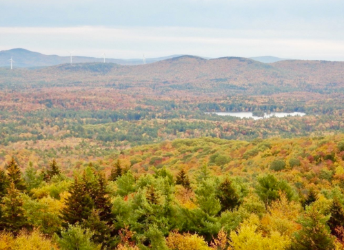 A scenic view of rolling hills covered in autumn foliage, with a lake and wind turbines in the distance.
