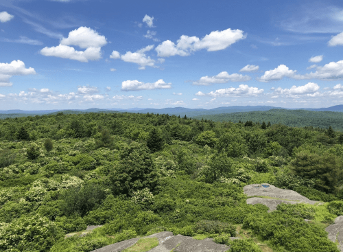 A panoramic view of lush green hills under a bright blue sky with fluffy white clouds.