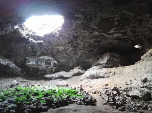 A cave interior with a large opening at the top, revealing light and greenery on the ground.