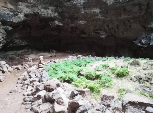 A dimly lit cave interior with rocky walls, scattered stones, and patches of green vegetation on the ground.