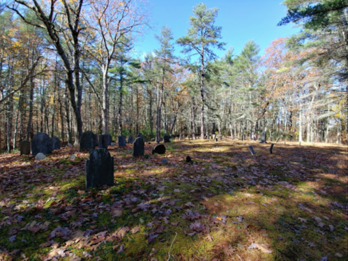 A serene graveyard surrounded by trees, with gravestones scattered among fallen leaves in autumn.