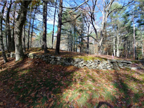 A stone wall covered in moss, surrounded by trees and fallen leaves in a wooded area on a sunny day.