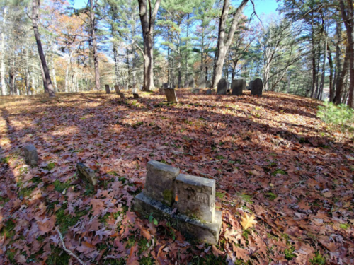 A serene graveyard surrounded by trees, with fallen leaves covering the ground and old gravestones visible.