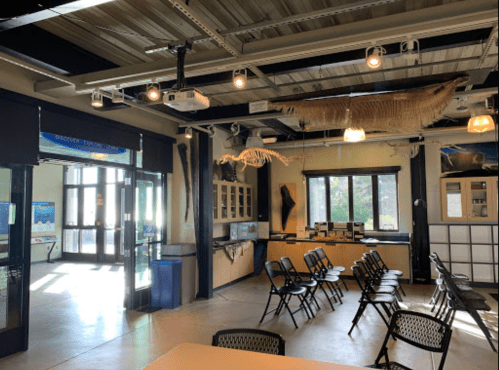 Interior of a discovery center with chairs, a whale skeleton hanging, and large windows.